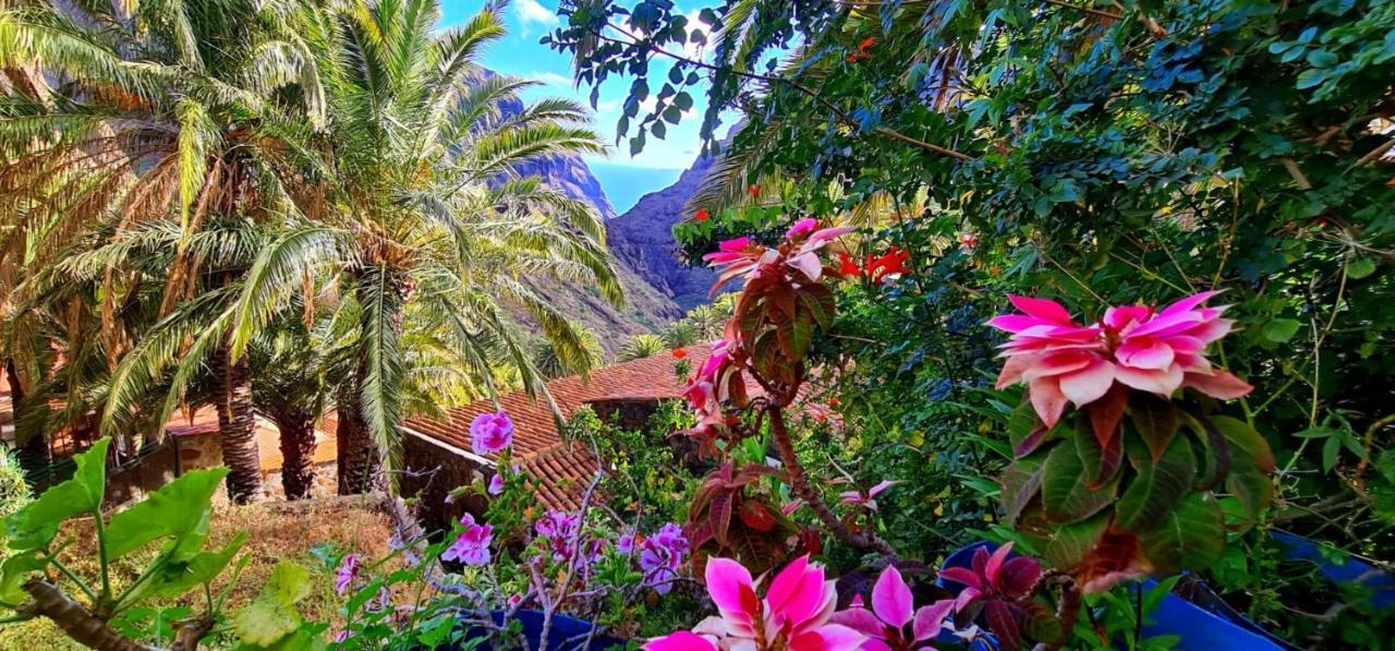 Ocean View Tenerife San Miguel de Abona Exterior photo